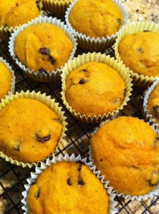 pumpkin chocolate chip muffins