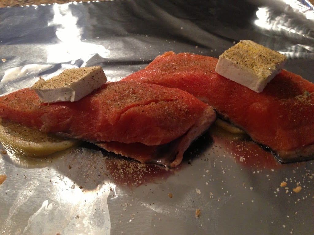 Salmon in a Bag The Cookin Chicks